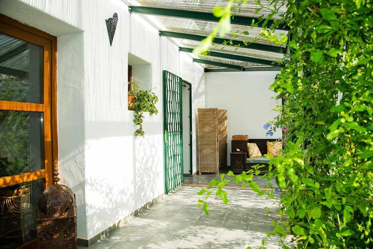 B&B Masia Aitona Vall dʼAlba Kültér fotó