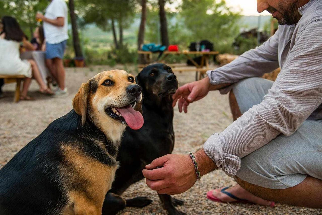 B&B Masia Aitona Vall dʼAlba Kültér fotó